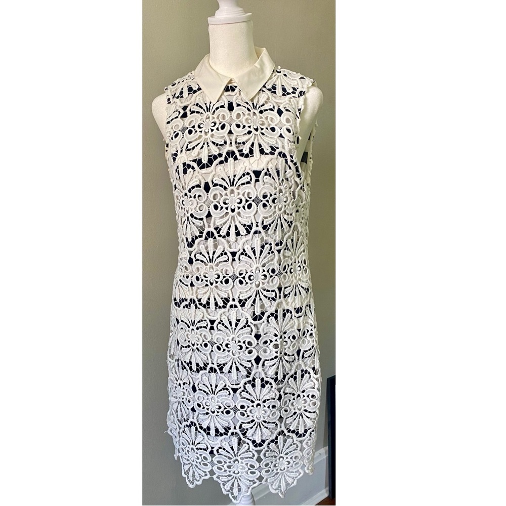 Adrianna Papell Lace Shift Dress with Stripe Underlay